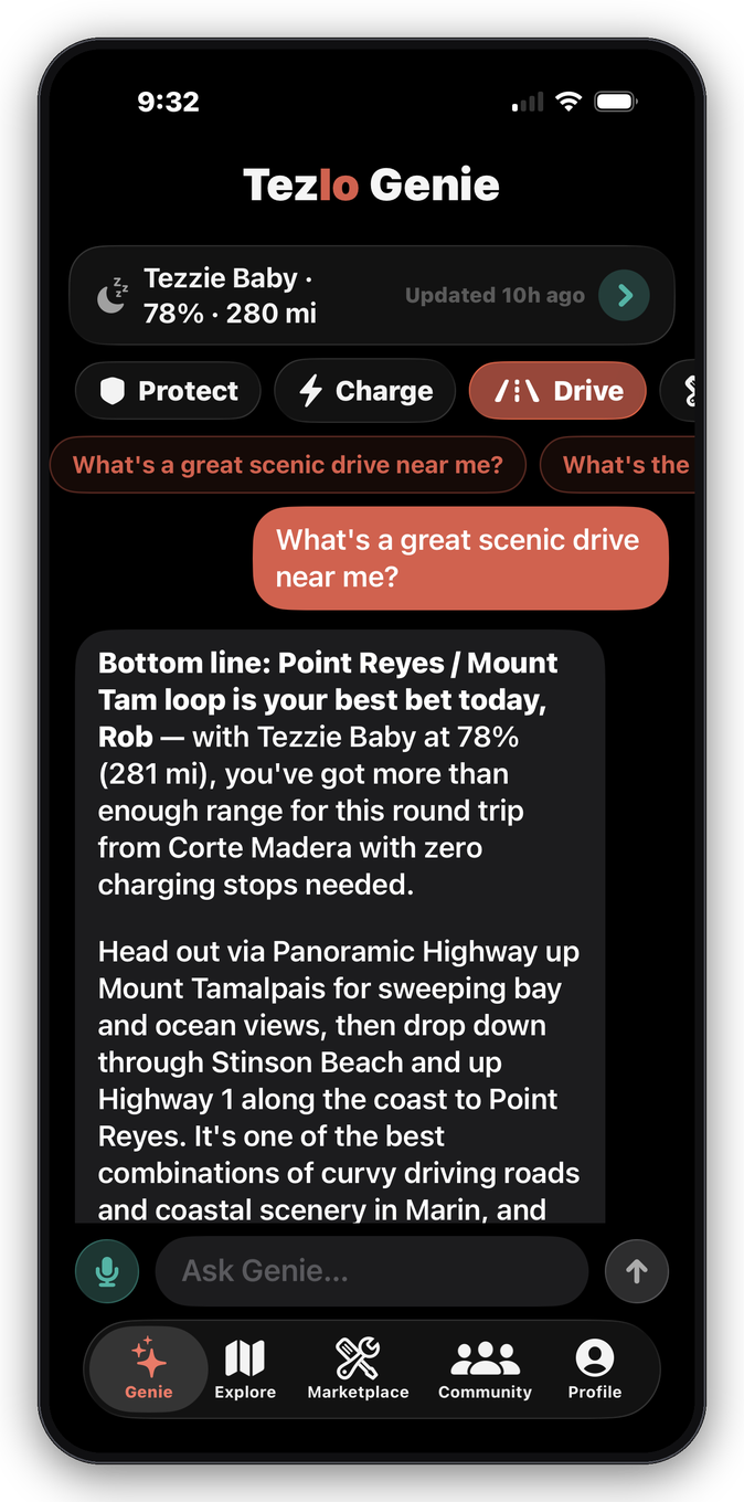 Talk to your Tesla. Ask about range, drives, charging, out loud.